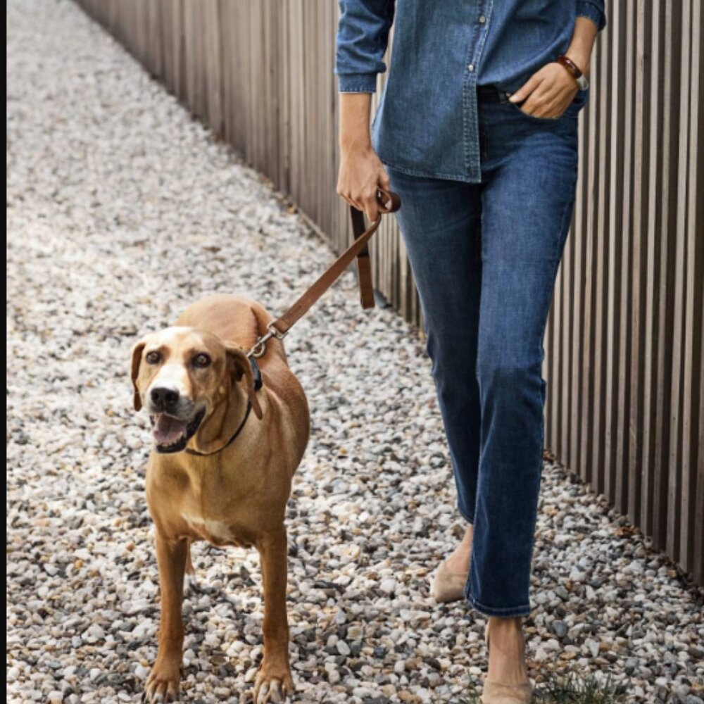 J. Jill High Rise Straight Leg Jeans Dark Wash 16 Tall